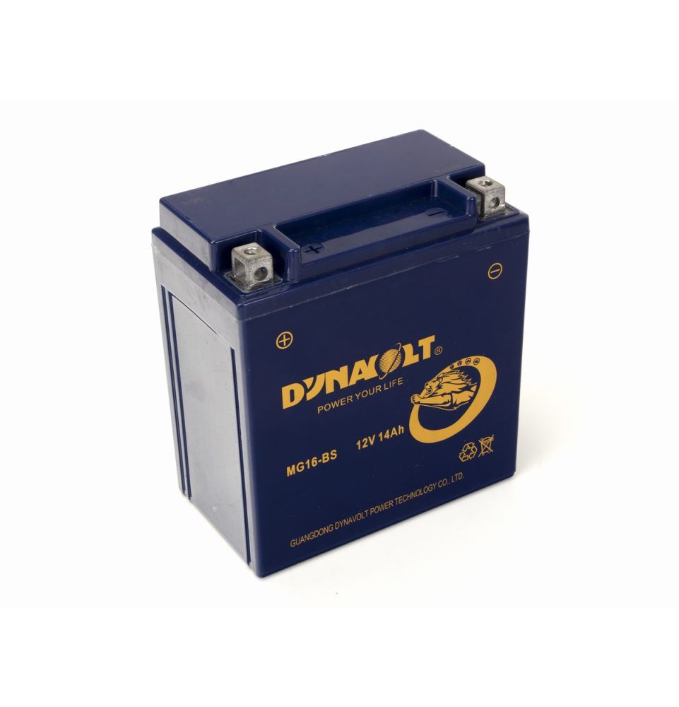 Akumulator żelowy AGM Dynavolt MG16L-BS 12V14Ah (151x87x161) (P+)